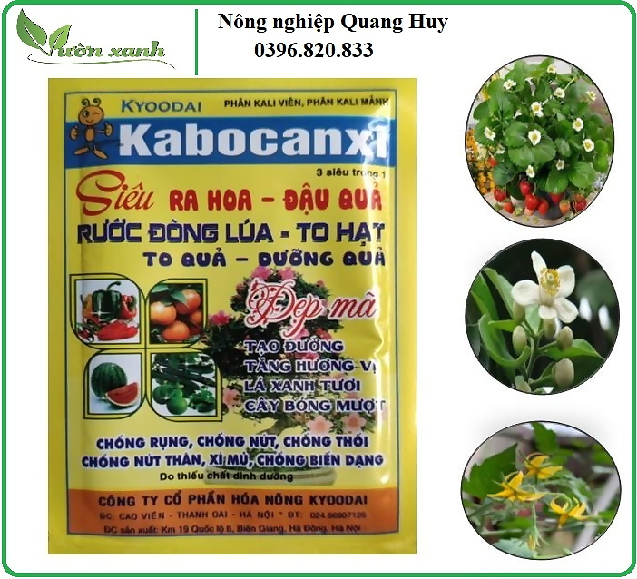 Phân bón Kabocanxi - kích ra hoa đậu quả dùng cho cây dâu tây, bầu bí, dưa chuột, đậu, cây ăn trái,..